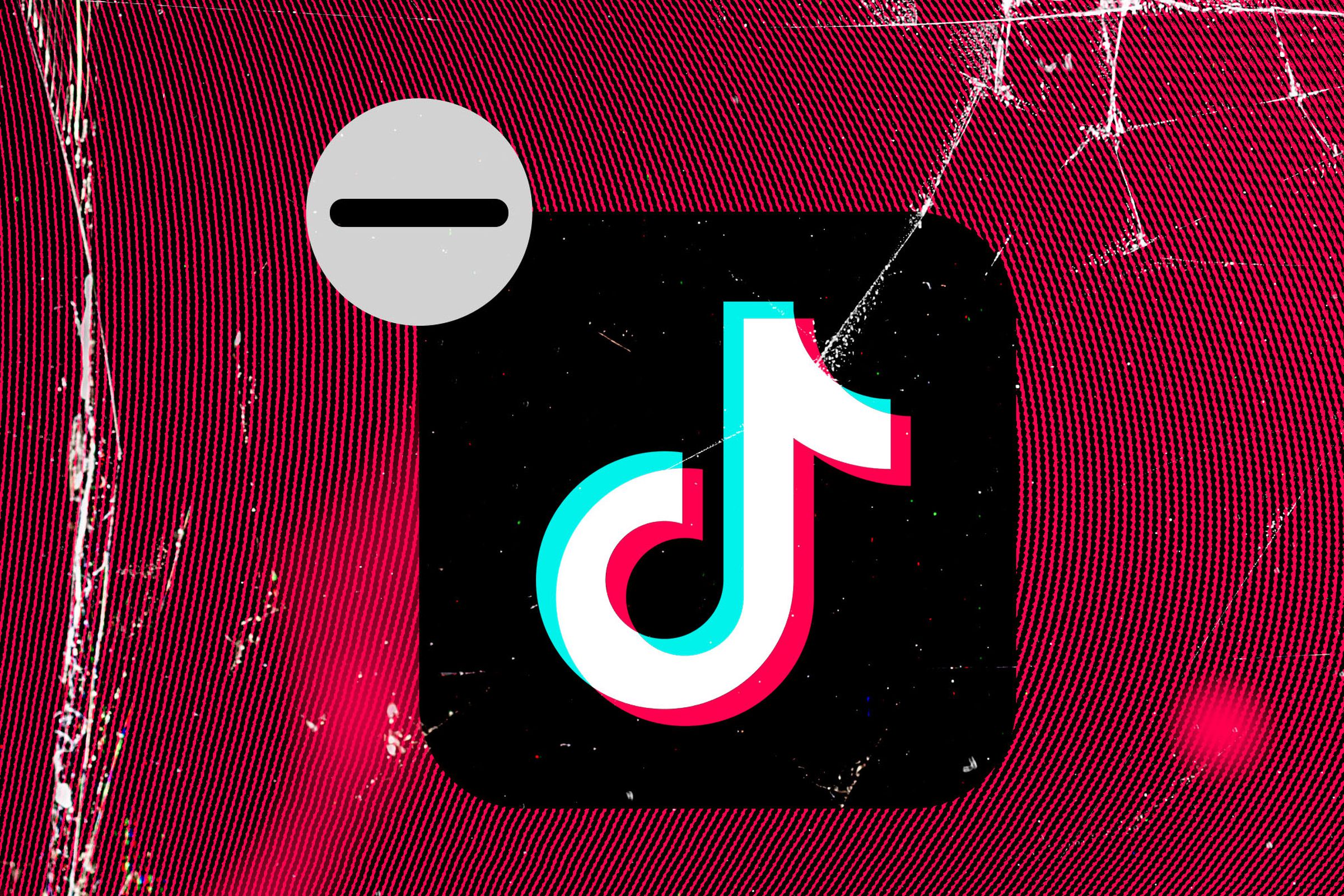 ‘Goodbye to my Chinese spy’ might be the last great TikTok trend